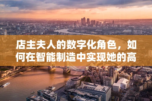 店主夫人的数字化角色，如何在智能制造中实现她的高效参与？