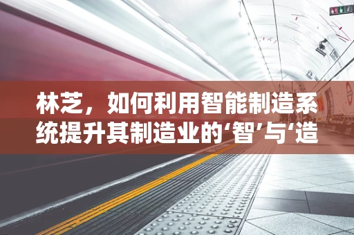 林芝，如何利用智能制造系统提升其制造业的‘智’与‘造’？
