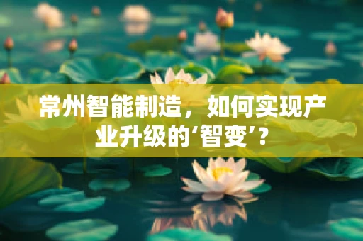 常州智能制造，如何实现产业升级的‘智变’？