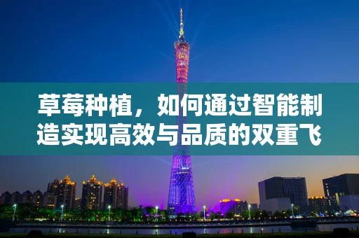 草莓种植，如何通过智能制造实现高效与品质的双重飞跃？