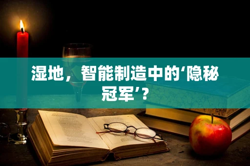 湿地，智能制造中的‘隐秘冠军’？
