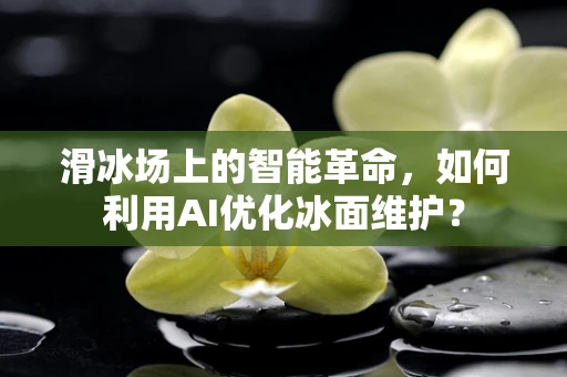 滑冰场上的智能革命，如何利用AI优化冰面维护？
