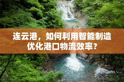 连云港，如何利用智能制造优化港口物流效率？