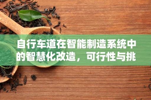 自行车道在智能制造系统中的智慧化改造，可行性与挑战？
