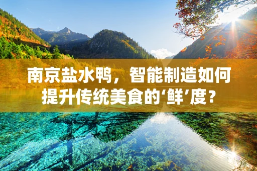 南京盐水鸭，智能制造如何提升传统美食的‘鲜’度？