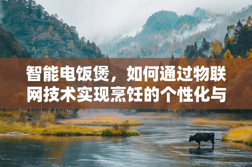 智能电饭煲，如何通过物联网技术实现烹饪的个性化与高效性？