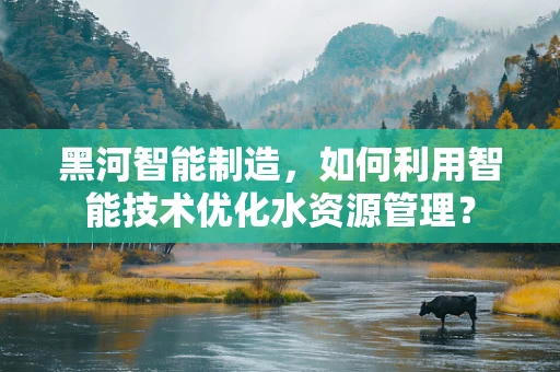黑河智能制造，如何利用智能技术优化水资源管理？