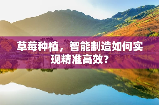 草莓种植，智能制造如何实现精准高效？