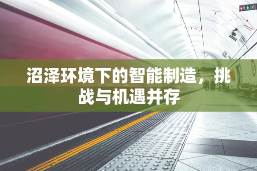 沼泽环境下的智能制造，挑战与机遇并存