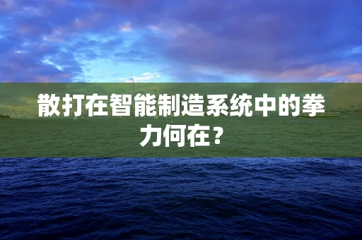 散打在智能制造系统中的拳力何在？