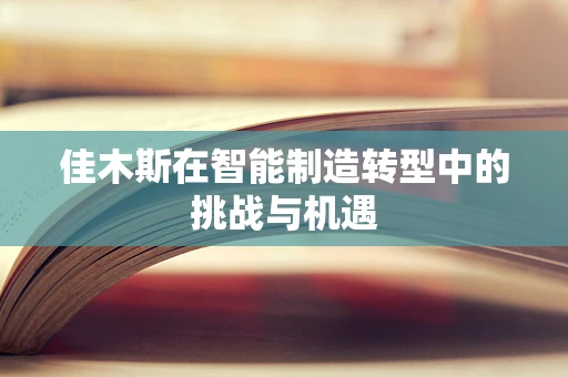 佳木斯在智能制造转型中的挑战与机遇