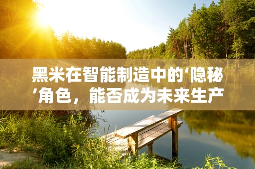 黑米在智能制造中的‘隐秘’角色，能否成为未来生产线的‘智慧之粮’？