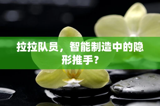 拉拉队员，智能制造中的隐形推手？