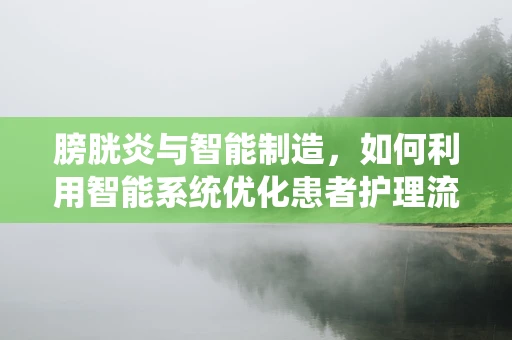 膀胱炎与智能制造，如何利用智能系统优化患者护理流程？