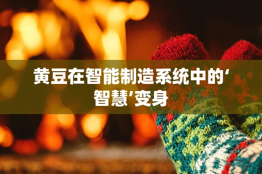 黄豆在智能制造系统中的‘智慧’变身