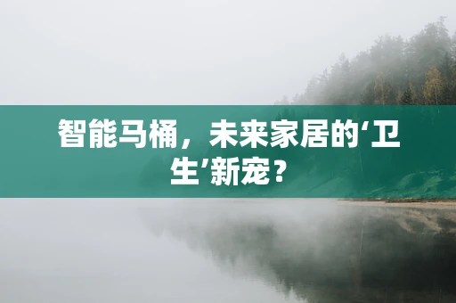 智能马桶，未来家居的‘卫生’新宠？