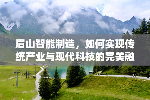 眉山智能制造，如何实现传统产业与现代科技的完美融合？