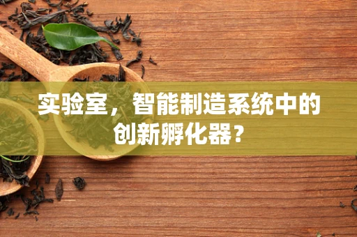 实验室，智能制造系统中的创新孵化器？