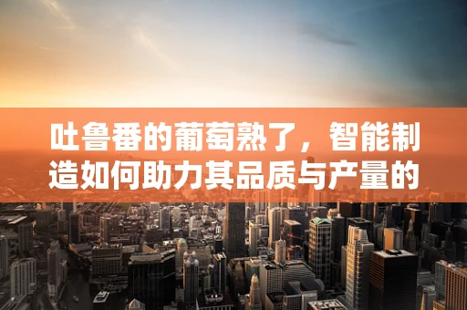 吐鲁番的葡萄熟了，智能制造如何助力其品质与产量的双重飞跃？