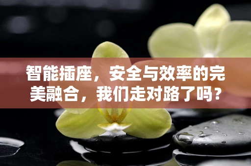 智能插座，安全与效率的完美融合，我们走对路了吗？