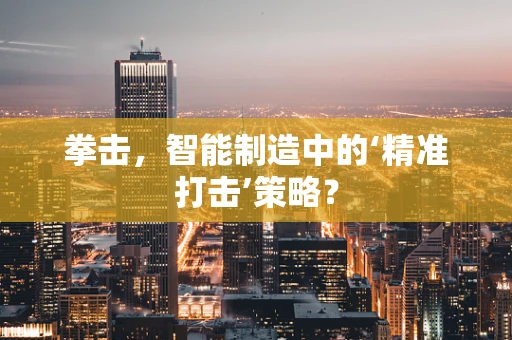 拳击，智能制造中的‘精准打击’策略？