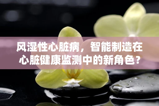 风湿性心脏病，智能制造在心脏健康监测中的新角色？