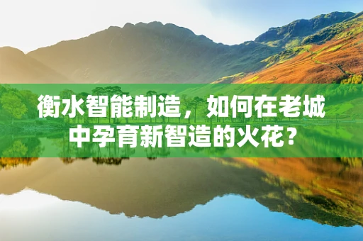 衡水智能制造，如何在老城中孕育新智造的火花？