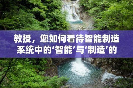 教授，您如何看待智能制造系统中的‘智能’与‘制造’的融合？