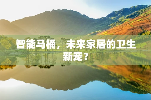 智能马桶，未来家居的卫生新宠？