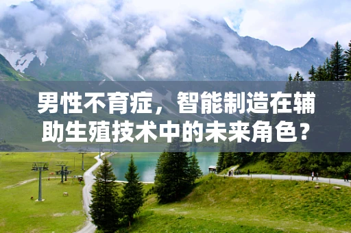 男性不育症，智能制造在辅助生殖技术中的未来角色？