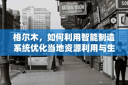 格尔木，如何利用智能制造系统优化当地资源利用与生产效率？