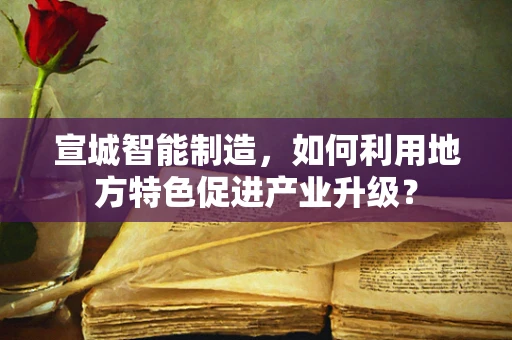 宣城智能制造，如何利用地方特色促进产业升级？
