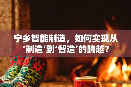 宁乡智能制造，如何实现从‘制造’到‘智造’的跨越？