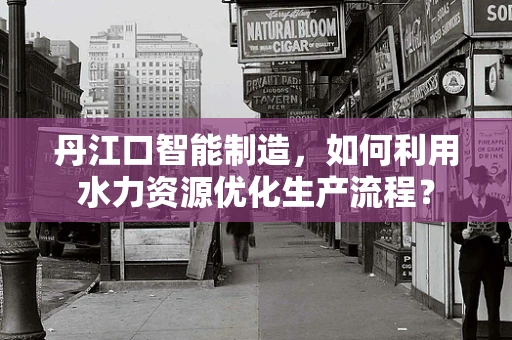 丹江口智能制造，如何利用水力资源优化生产流程？