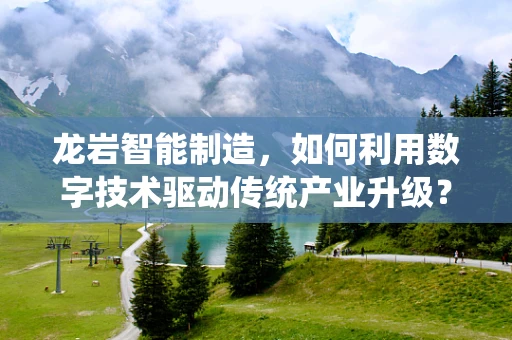 龙岩智能制造，如何利用数字技术驱动传统产业升级？