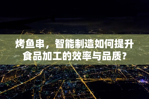 烤鱼串，智能制造如何提升食品加工的效率与品质？