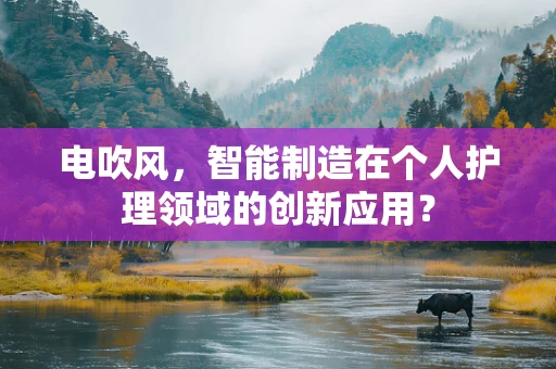 电吹风，智能制造在个人护理领域的创新应用？