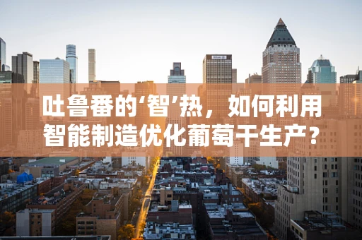 吐鲁番的‘智’热，如何利用智能制造优化葡萄干生产？