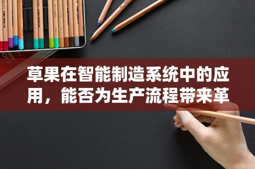 草果在智能制造系统中的应用，能否为生产流程带来革新？