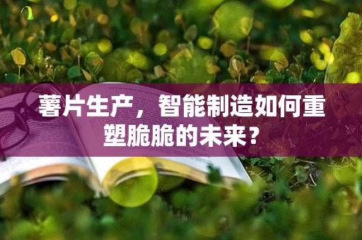 薯片生产，智能制造如何重塑脆脆的未来？