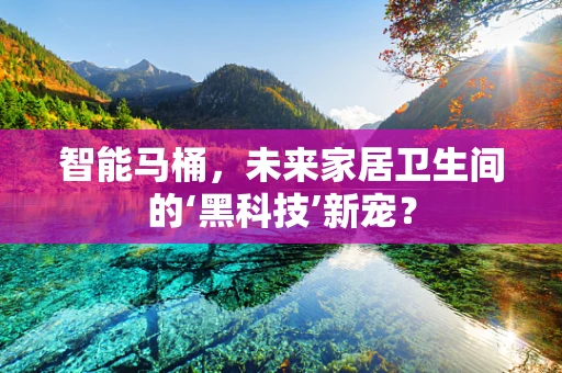 智能马桶，未来家居卫生间的‘黑科技’新宠？