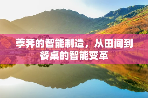荸荠的智能制造，从田间到餐桌的智能变革