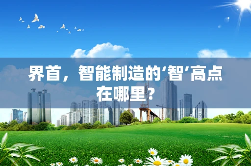 界首，智能制造的‘智’高点在哪里？