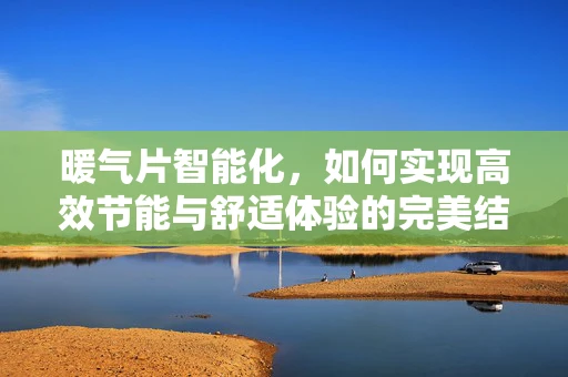 暖气片智能化，如何实现高效节能与舒适体验的完美结合？