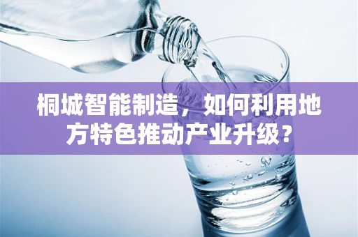 桐城智能制造，如何利用地方特色推动产业升级？