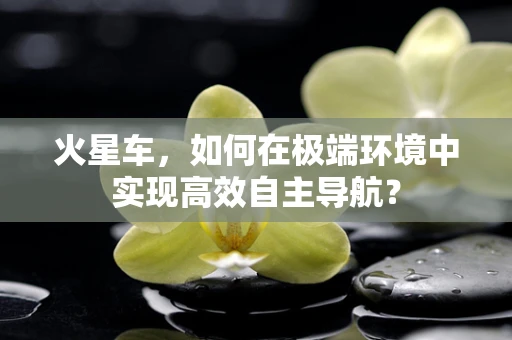 火星车，如何在极端环境中实现高效自主导航？