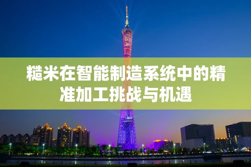 糙米在智能制造系统中的精准加工挑战与机遇