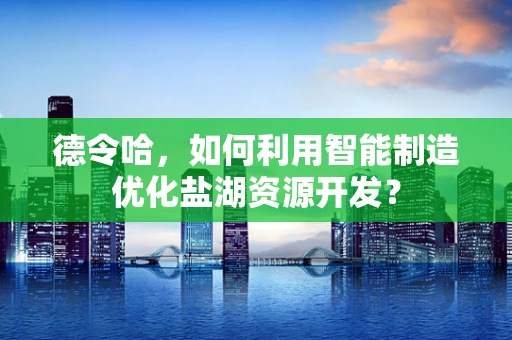 德令哈，如何利用智能制造优化盐湖资源开发？