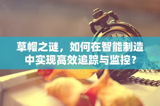 草帽之谜，如何在智能制造中实现高效追踪与监控？