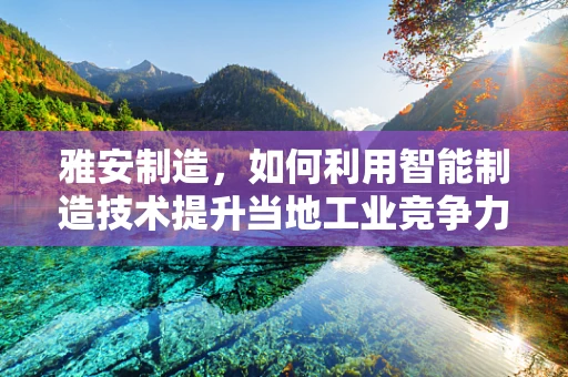 雅安制造，如何利用智能制造技术提升当地工业竞争力？